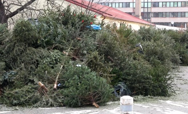 Пражские коммунальные службы убирают с улиц тысячи рождественских елок