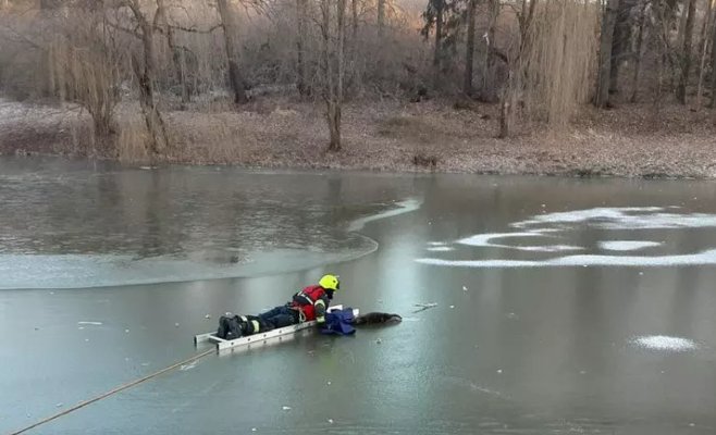 Мороз охватил животных в прудах, пожарные спасли птиц и выдру