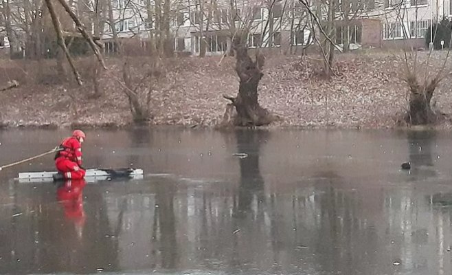 Мороз охватил животных в прудах, пожарные спасли птиц и выдру