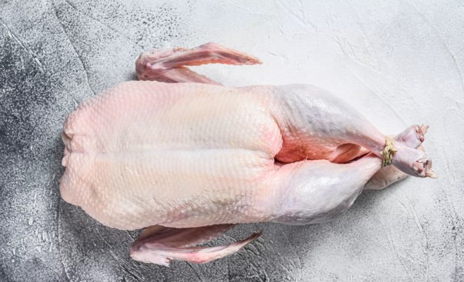 В большем количестве мяса птицы из Венгрии, проданного в Чехии, обнаружены бактерии сальмонеллы