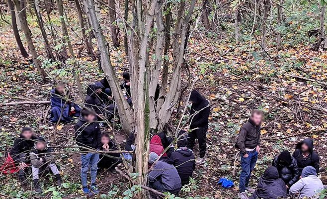 В прошлом году полиция столкнулась с вдвое меньшим количеством нелегальных мигрантов