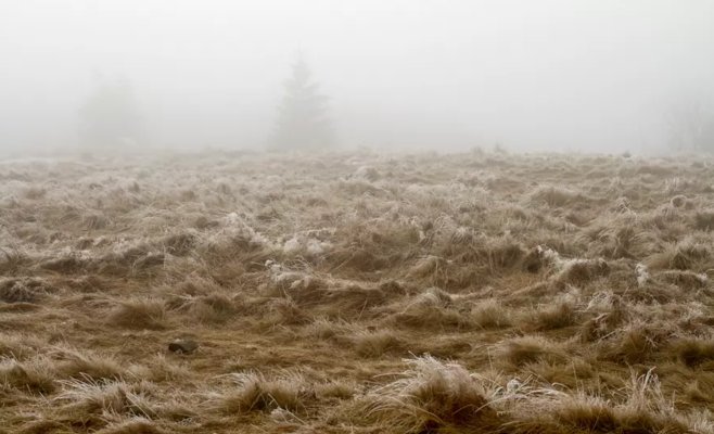 Морозный туман и легкий иней могут вернуться в некоторые регионы Чехии в течение ночи