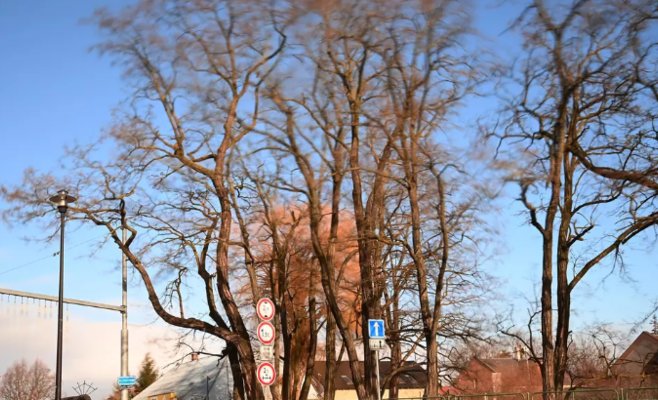 До 16 градусов тепла на выходные