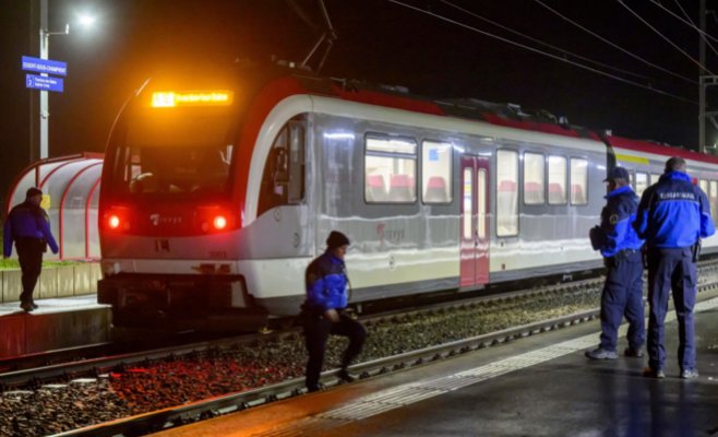 Иранский беженец с топором захватил 14 пассажиров и инженера в швейцарском поезде