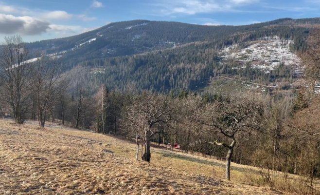 В феврале, как и в апреле, горы уже зеленеют