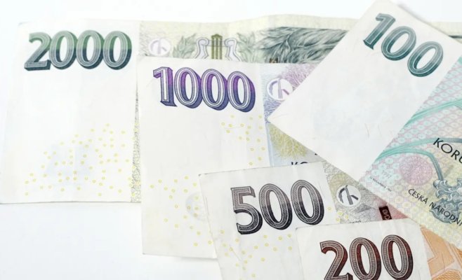 Долг чехов в прошлом году вырос на 5,1 процента