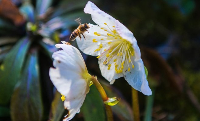Десятки градусов к лучшему. Эксперты подсчитали, насколько природа опережает события в этом году