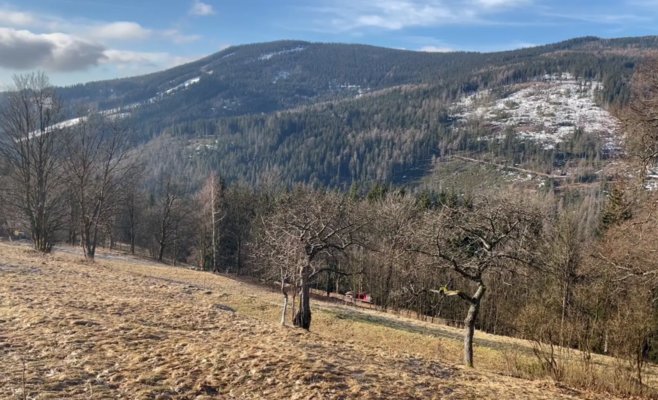 Этот февраль стал самым теплым за последние 60 лет