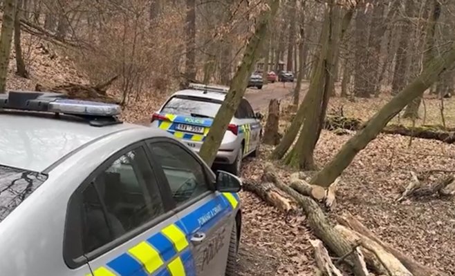 Полиция прочесывала Кунратицкий лес. Они искали мужчину, который напал на женщину и изнасиловал ее.