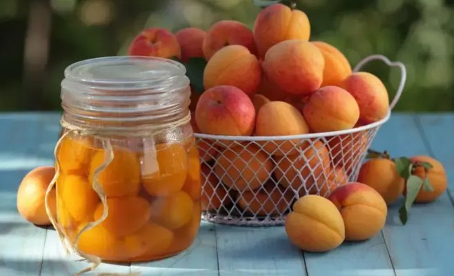 В этом году абрикосы зацвели рекордно рано. Самое раннее за 61 год наблюдений, сообщают ученые.