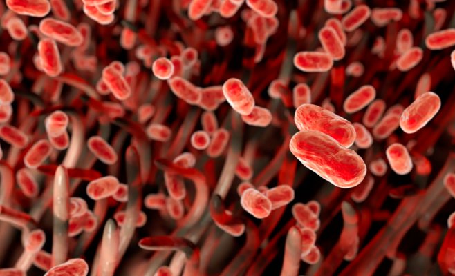 Первый человек с коклюшем умер в этом году