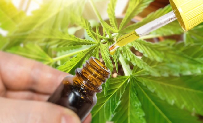 Инспекторы искали HHC в косметических компаниях. Абсурд, говорят эксперты