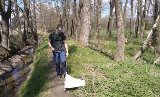 Клещи в городах более опасны, чем в природе, считают ученые