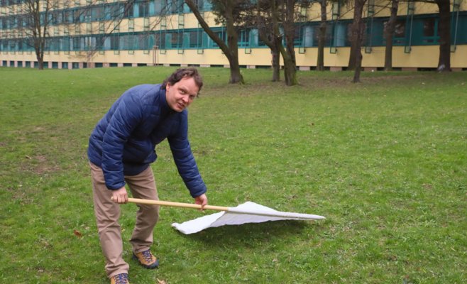 Клещи в городах более опасны, чем в природе, считают ученые
