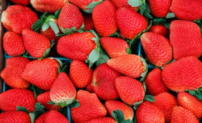 Восьмилетний мальчик в США умер после того, как съел клубнику, подаренную школе в рамках сбора средств