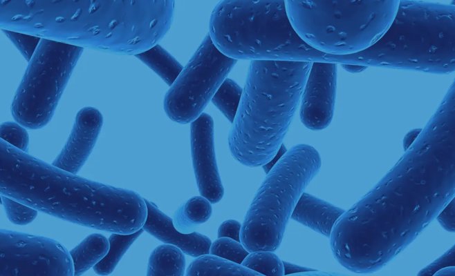 Младенец, зараженный коклюшем, умер