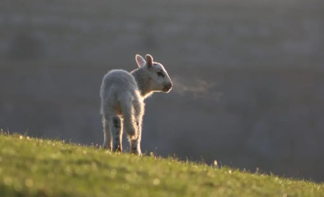 Грядет резкое похолодание
