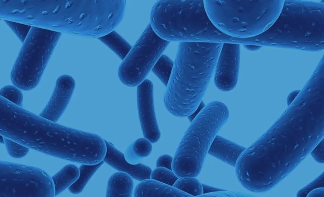 Почти 8000 пациентов. Коклюш не отступает