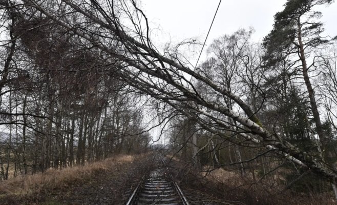 Упавшие деревья остановили движение поездов под Прагой