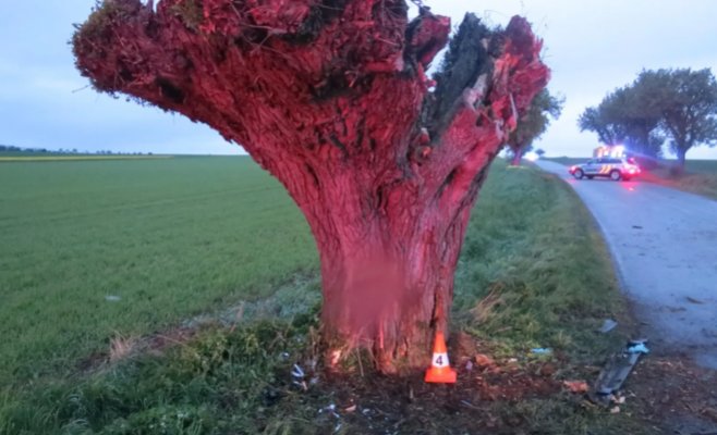 Женщина-водитель вылетела со скользкой дороги и врезалась в дерево, скончалась в больнице