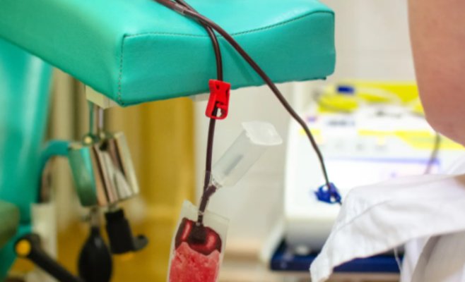 Новый регистр может следить за расчетливыми донорами плазмы крови