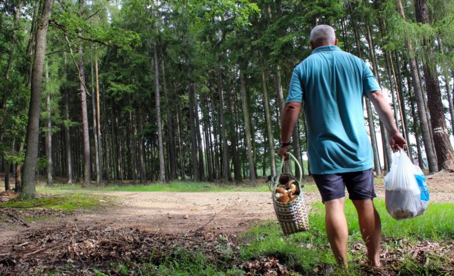 Министерство пошло на уступки, люди не потеряют свободного доступа в леса