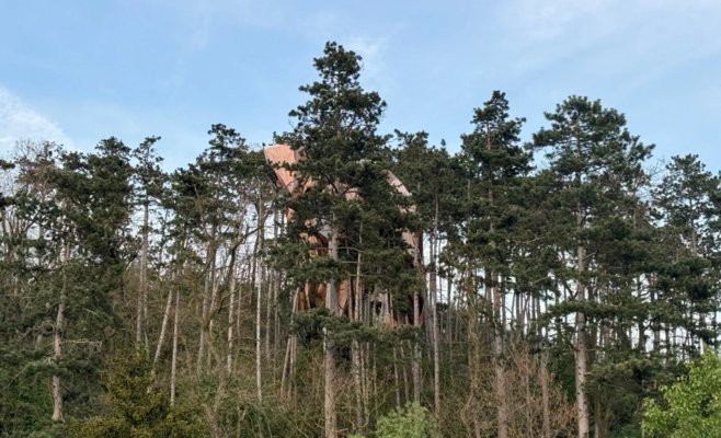 Воздушный шар упал на деревья в регионе Бероун, читатель Новинек запечатлел его падение