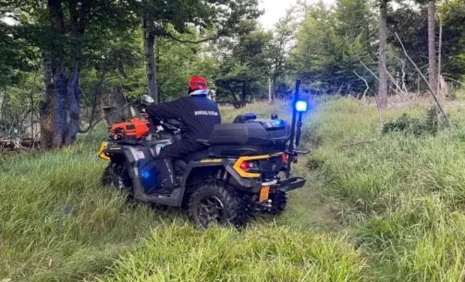 Пятилетняя девочка пропала в лесах Шумавы. Ее искали вертолет, горная служба и собака.