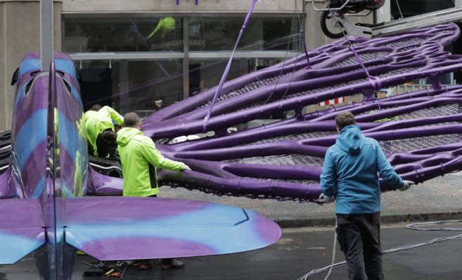 Скульптуры бабочек Давида Чернего установят в Праге