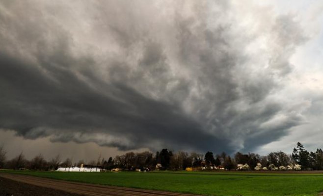 Прогноз погоды на конец недели: летние температуры и частые грозы