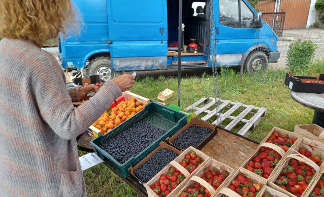 Цена чешских клубник диктуется поляками