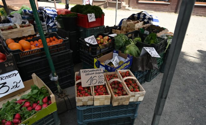 Цена чешских клубник диктуется поляками