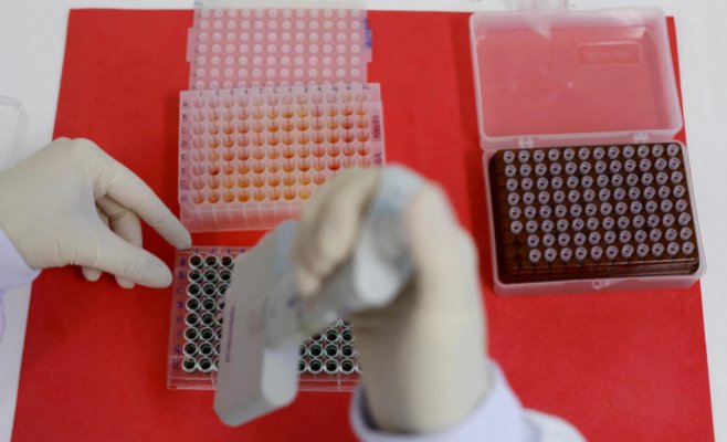 США, Канада и Европа ищут вакцину против новой разновидности птичьего гриппа