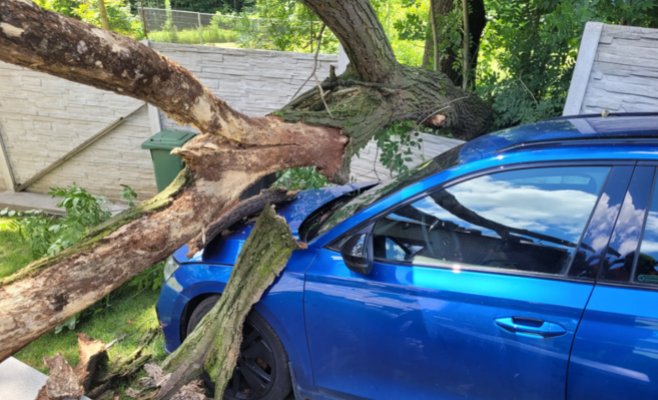 Дерево в Остраве разбило автомобиль, забор и крышу