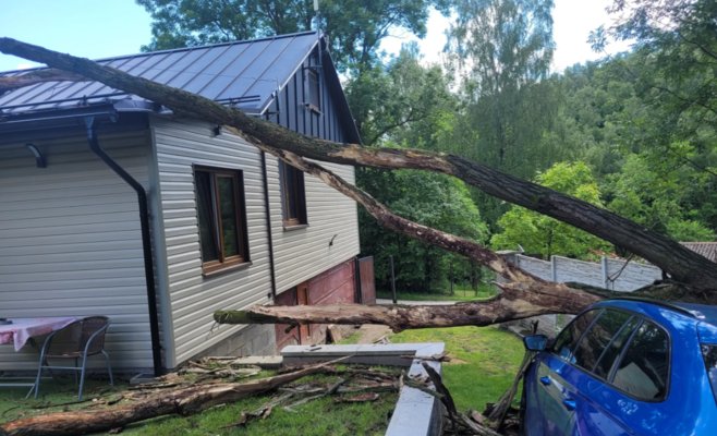 Дерево в Остраве разбило автомобиль, забор и крышу