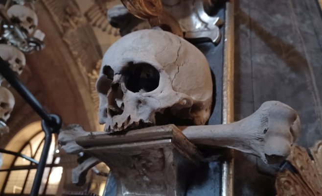 Пирамида из костей: восстановленная история Кутногорской костницы