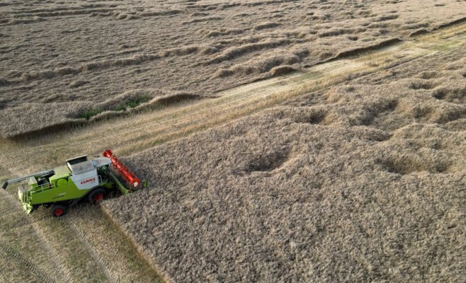 Снижение цен в сельском хозяйстве продолжается более года