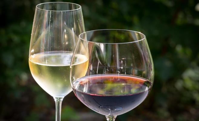 Сбор винограда на Пражском Граде