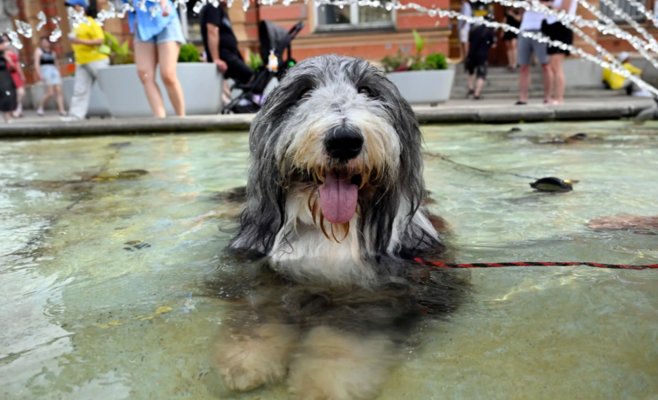 На следующей неделе температура вновь поднимется