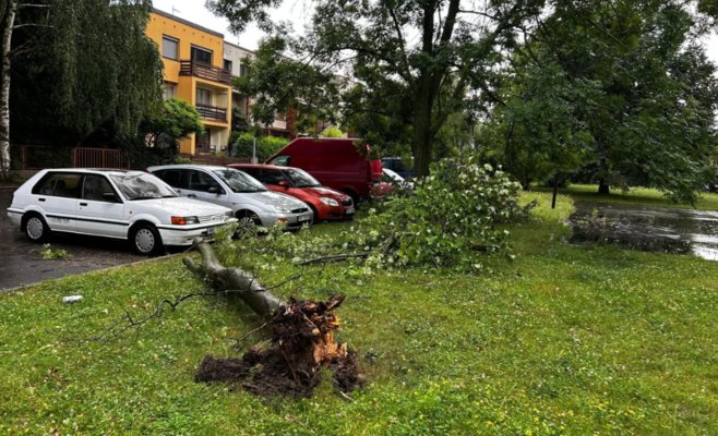 Сильные грозы останавливают поезда и валят деревья