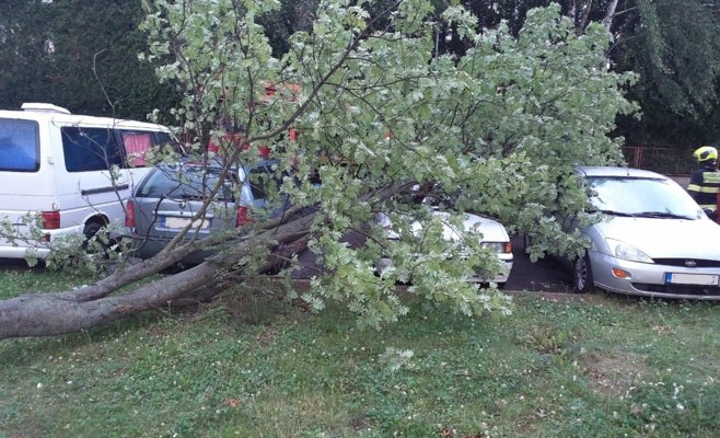 Сильные грозы останавливают поезда и валят деревья
