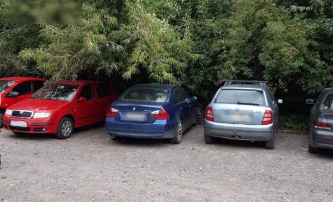 Сильные грозы останавливают поезда и валят деревья