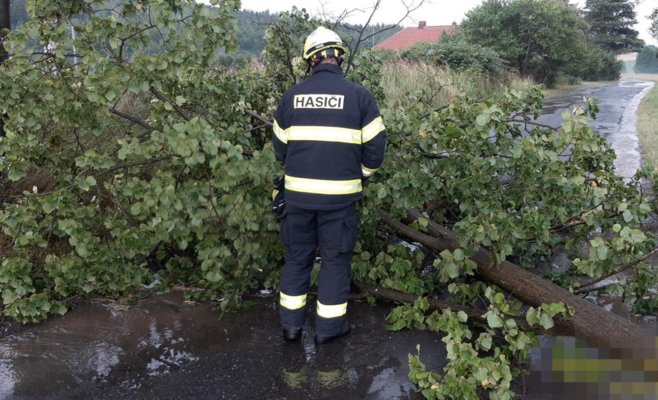 Сильные грозы останавливают поезда и валят деревья