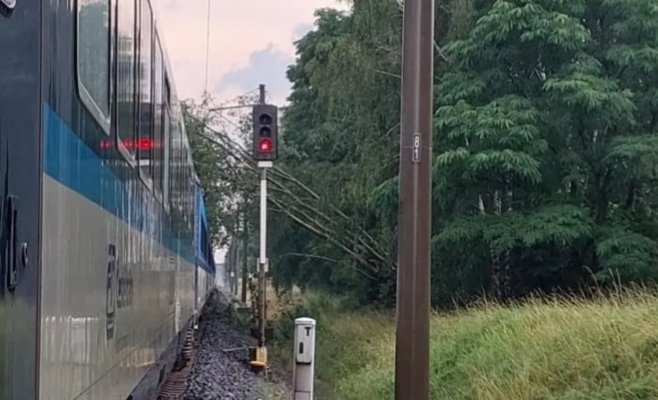 В двух поездах на Пардубицкой железной дороге застряли 675 человек из-за упавшего дерева