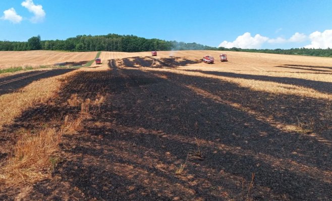 Пожар на поле с пшеницей в Терезине: пожарные борются с огнем