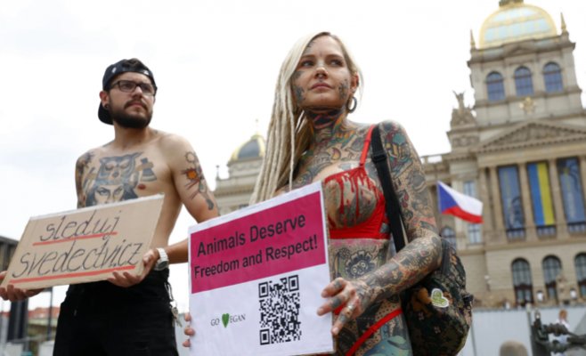 Активисты в Праге устроили протест за права животных, раздеваясь до нижнего белья