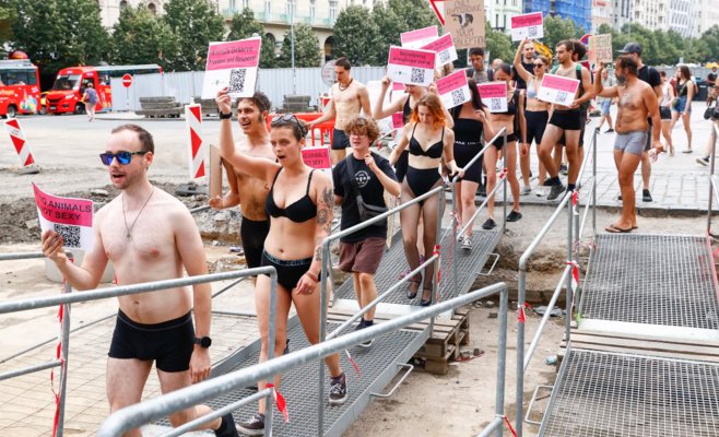 Активисты в Праге устроили протест за права животных, раздеваясь до нижнего белья