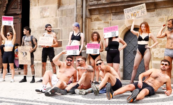 Активисты в Праге устроили протест за права животных, раздеваясь до нижнего белья