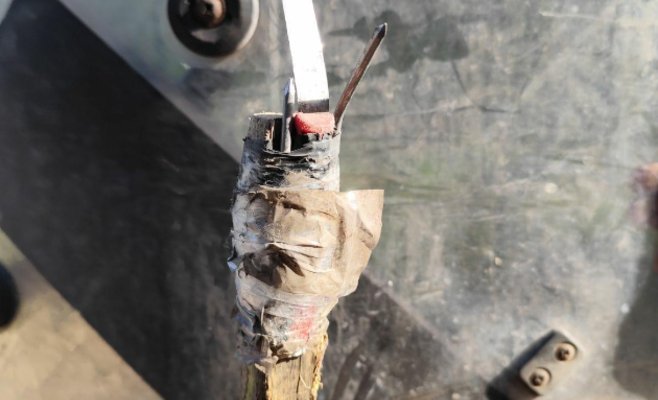 Польские пограничники могут использовать оружие против мигрантов