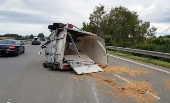 Дорожный инцидент на D1: перевернулся прицеп с лошадьми